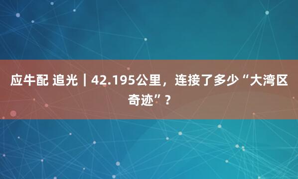 应牛配 追光｜42.195公里，连接了多少“大湾区奇迹”？