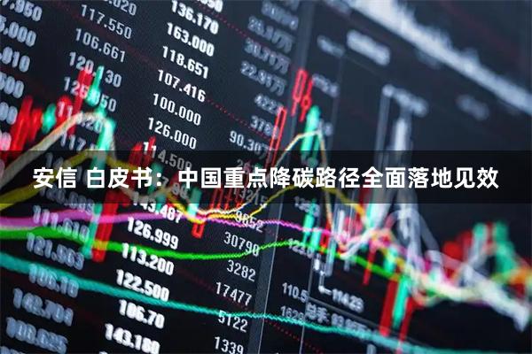 安信 白皮书：中国重点降碳路径全面落地见效